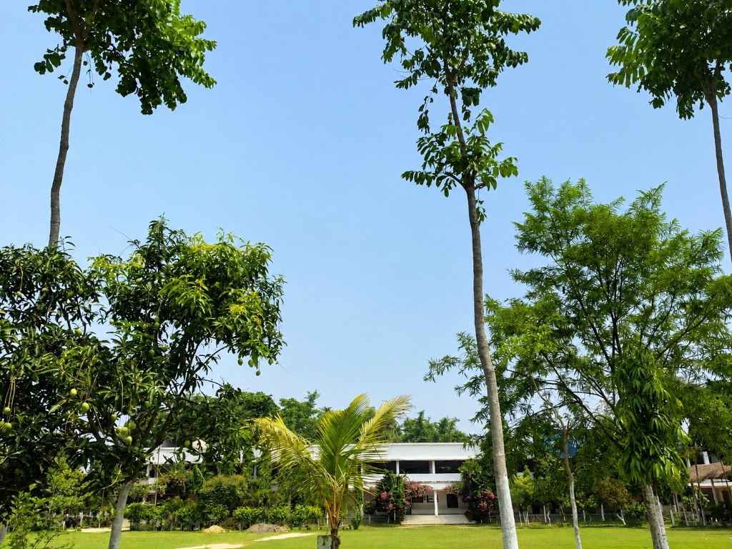 Panoramic view of the manicured green lawn and trees on campus